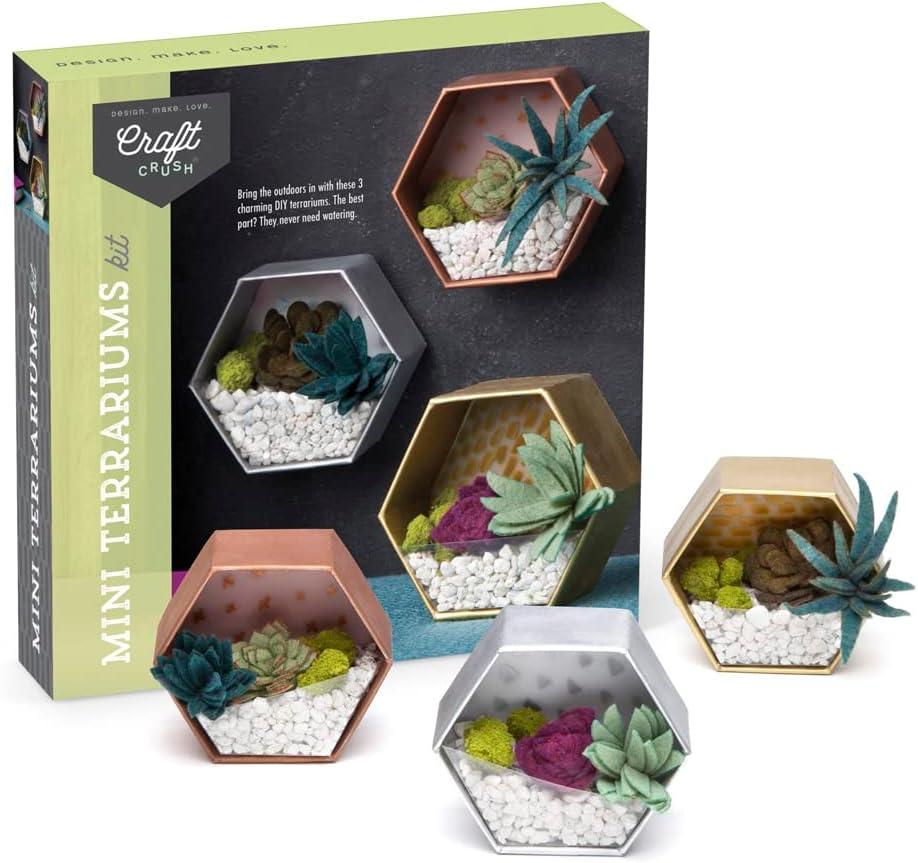 imageCraft Crush  Mini Plants Terrariums Easy Fun Arts and Craft Kit  Make 3 Charming Faux Terrariums  For Ages 13 and Up0