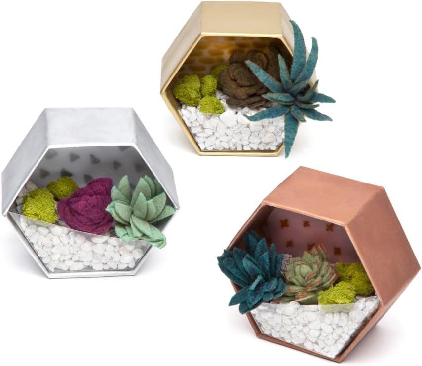 imageCraft Crush  Mini Plants Terrariums Easy Fun Arts and Craft Kit  Make 3 Charming Faux Terrariums  For Ages 13 and Up0