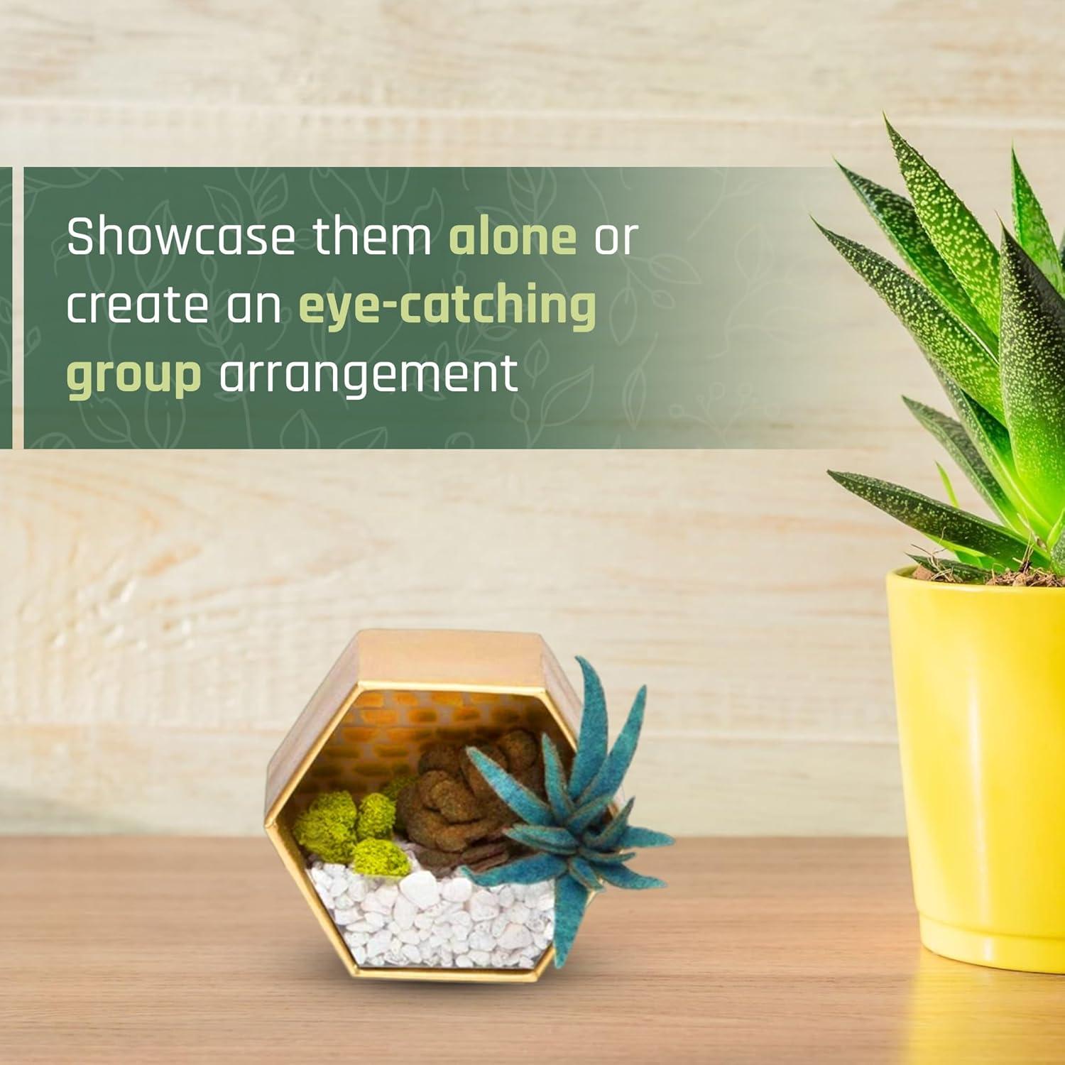 imageCraft Crush  Mini Plants Terrariums Easy Fun Arts and Craft Kit  Make 3 Charming Faux Terrariums  For Ages 13 and Up0