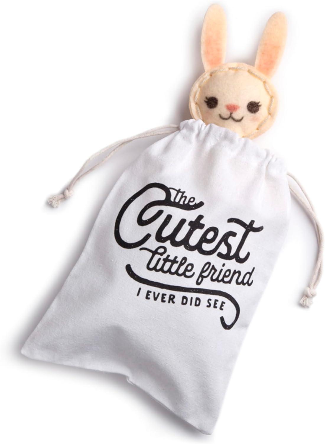 imageCrafttastic  Make a Fox Friend Craft Kit  Learn to Make 1 EasytoSew Stuffie with Clothes ampamp AccessoriesMake a Bunny Friend Craft Kit