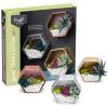 imageCraft Crush  Mini Plants Terrariums Easy Fun Arts and Craft Kit  Make 3 Charming Faux Terrariums  For Ages 13 and Up0