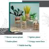 imageCraft Crush Faux Plant Sand Craft Kit  DIY Home Decor for Desk Dresser ampamp Office