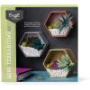 imageCraft Crush  Mini Plants Terrariums Easy Fun Arts and Craft Kit  Make 3 Charming Faux Terrariums  For Ages 13 and Up0