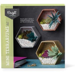 imageCraft Crush  Mini Plants Terrariums Easy Fun Arts and Craft Kit  Make 3 Charming Faux Terrariums  For Ages 13 and Up0
