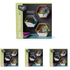 imageCraft Crush  Mini Plants Terrariums Easy Fun Arts and Craft Kit  Make 3 Charming Faux Terrariums  For Ages 13 and Up0 Pack of 4